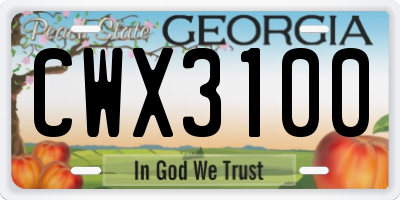 GA license plate CWX3100