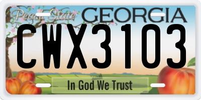 GA license plate CWX3103