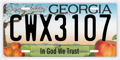 GA license plate CWX3107