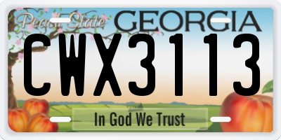 GA license plate CWX3113