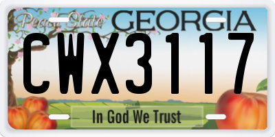 GA license plate CWX3117