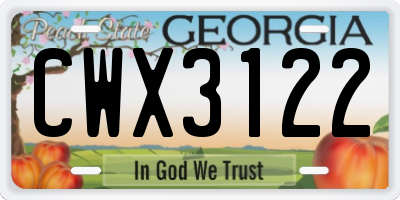 GA license plate CWX3122