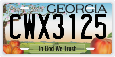 GA license plate CWX3125