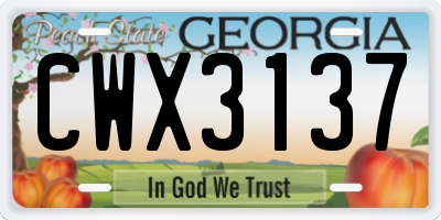 GA license plate CWX3137