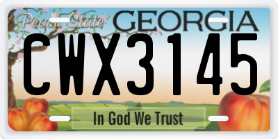 GA license plate CWX3145