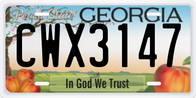 GA license plate CWX3147