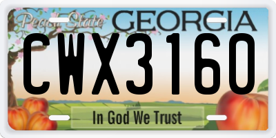GA license plate CWX3160