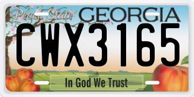 GA license plate CWX3165