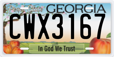 GA license plate CWX3167