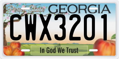 GA license plate CWX3201