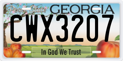 GA license plate CWX3207