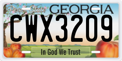 GA license plate CWX3209