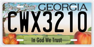 GA license plate CWX3210