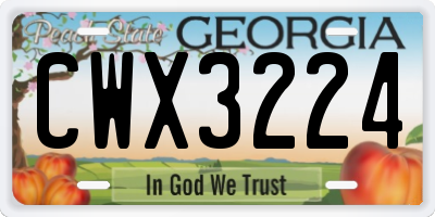 GA license plate CWX3224