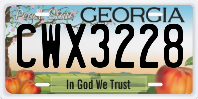 GA license plate CWX3228