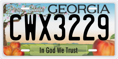 GA license plate CWX3229