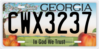 GA license plate CWX3237