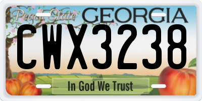 GA license plate CWX3238