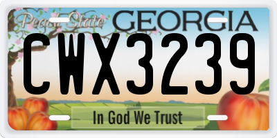 GA license plate CWX3239