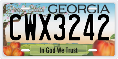 GA license plate CWX3242
