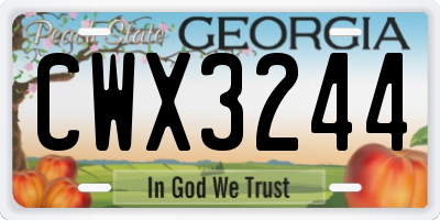 GA license plate CWX3244
