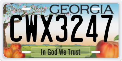 GA license plate CWX3247