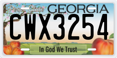 GA license plate CWX3254