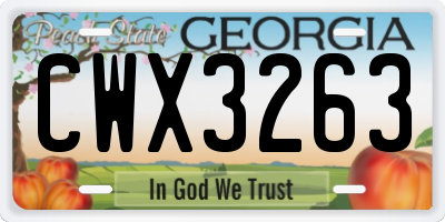 GA license plate CWX3263