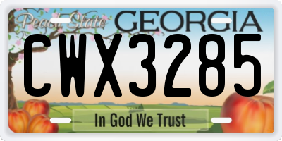 GA license plate CWX3285