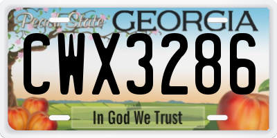 GA license plate CWX3286
