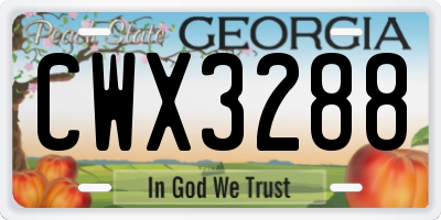 GA license plate CWX3288