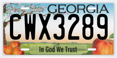 GA license plate CWX3289