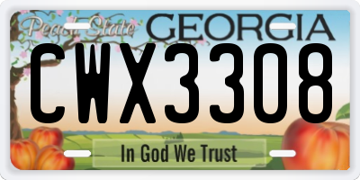 GA license plate CWX3308