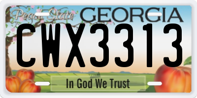 GA license plate CWX3313
