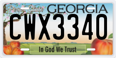 GA license plate CWX3340