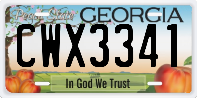 GA license plate CWX3341