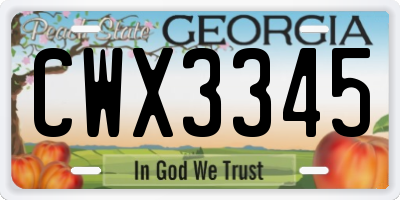 GA license plate CWX3345