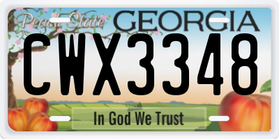 GA license plate CWX3348