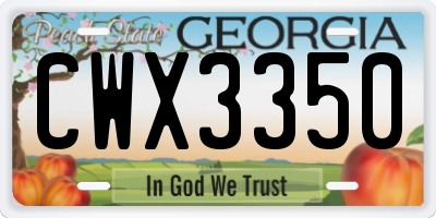 GA license plate CWX3350