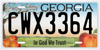 GA license plate CWX3364