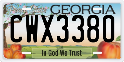 GA license plate CWX3380