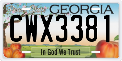GA license plate CWX3381