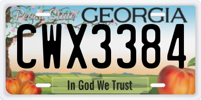 GA license plate CWX3384