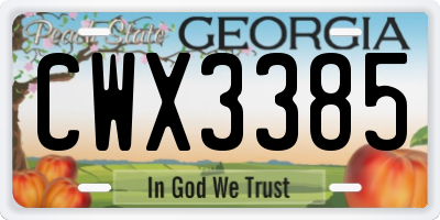 GA license plate CWX3385