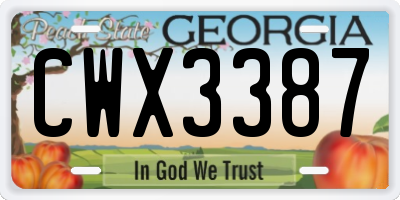 GA license plate CWX3387