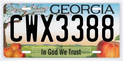 GA license plate CWX3388