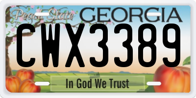 GA license plate CWX3389