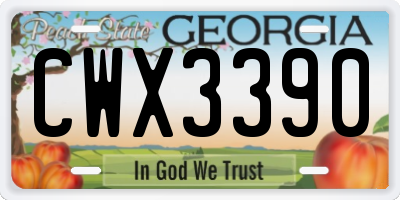 GA license plate CWX3390