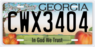 GA license plate CWX3404