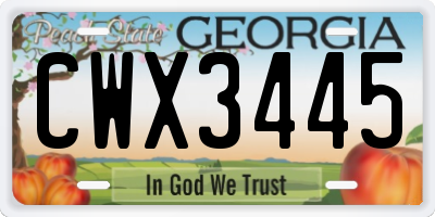 GA license plate CWX3445